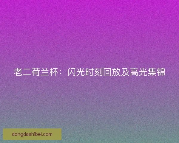 老二荷兰杯：闪光时刻回放及高光集锦