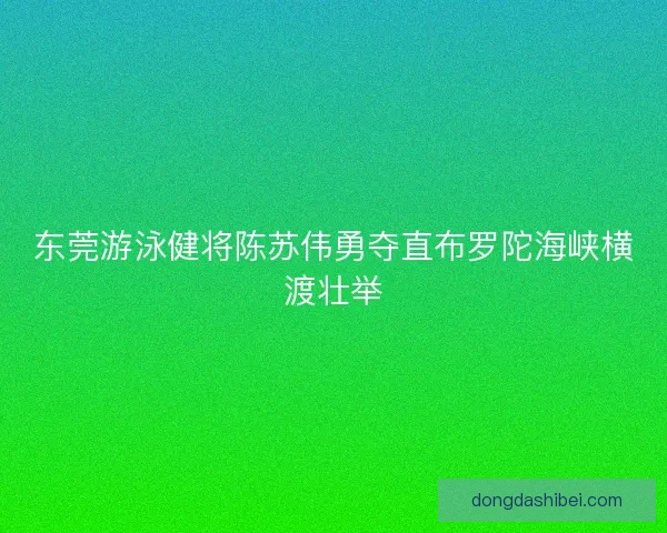 东莞游泳健将陈苏伟勇夺直布罗陀海峡横渡壮举 东莞游泳健将陈苏伟勇夺直布罗陀海峡横渡壮举
