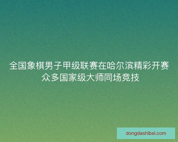 全国象棋男子甲级联赛在哈尔滨精彩开赛 众多国家级大师同场竞技 全国象棋男子甲级联赛在哈尔滨精彩开赛 众多国家级大师同场竞技