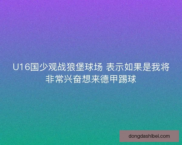 U16国少观战狼堡球场 表示如果是我将非常兴奋想来德甲踢球 U16国少观战狼堡球场 表示如果是我将非常兴奋想来德甲踢球